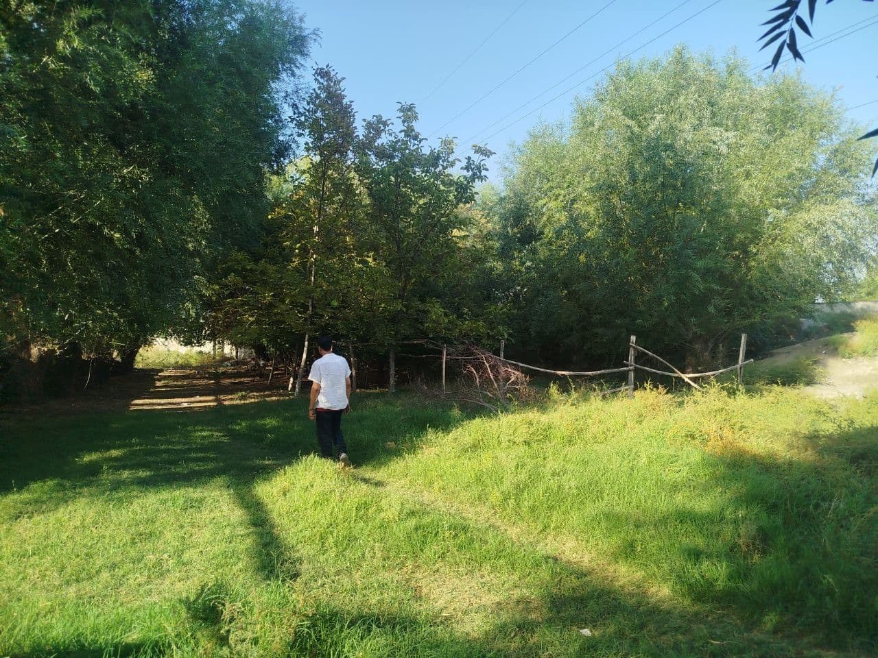 Gallery image 234645