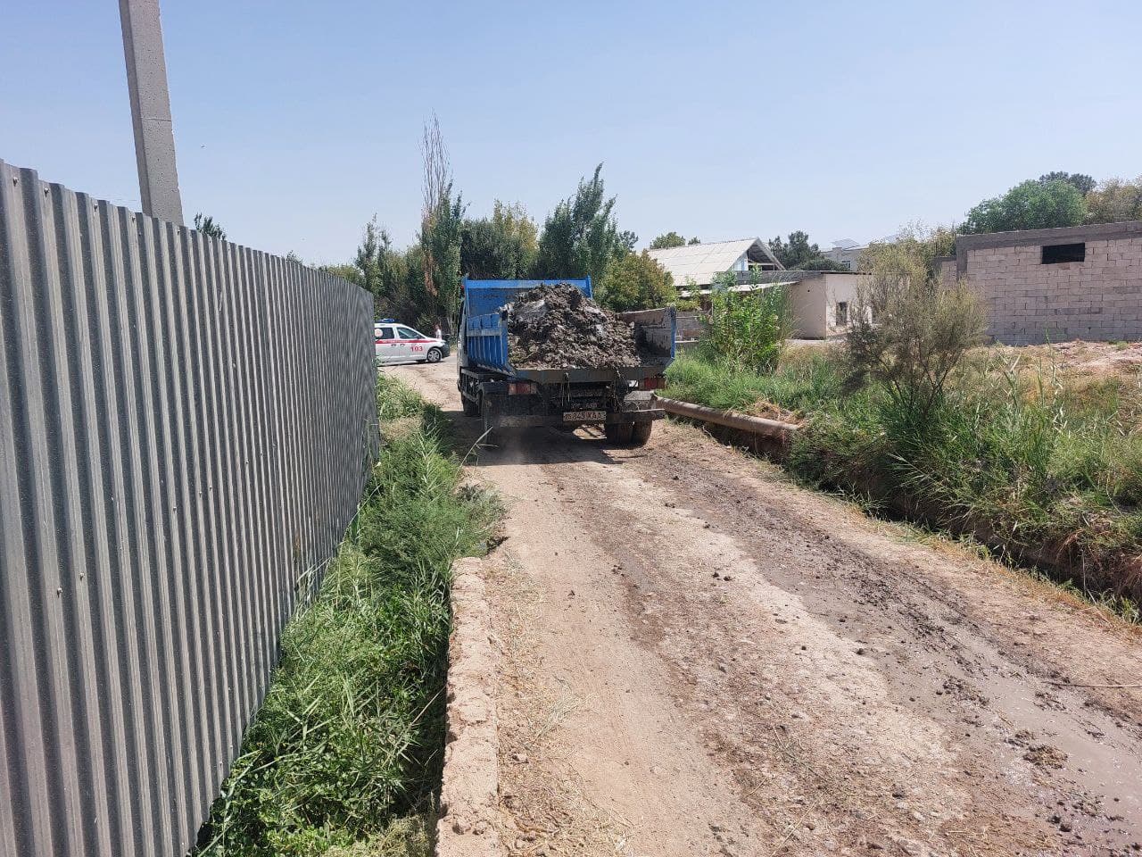 Gallery image 64810