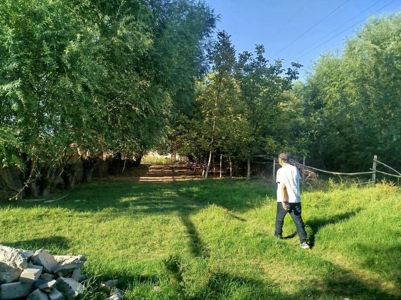 Gallery image 234648