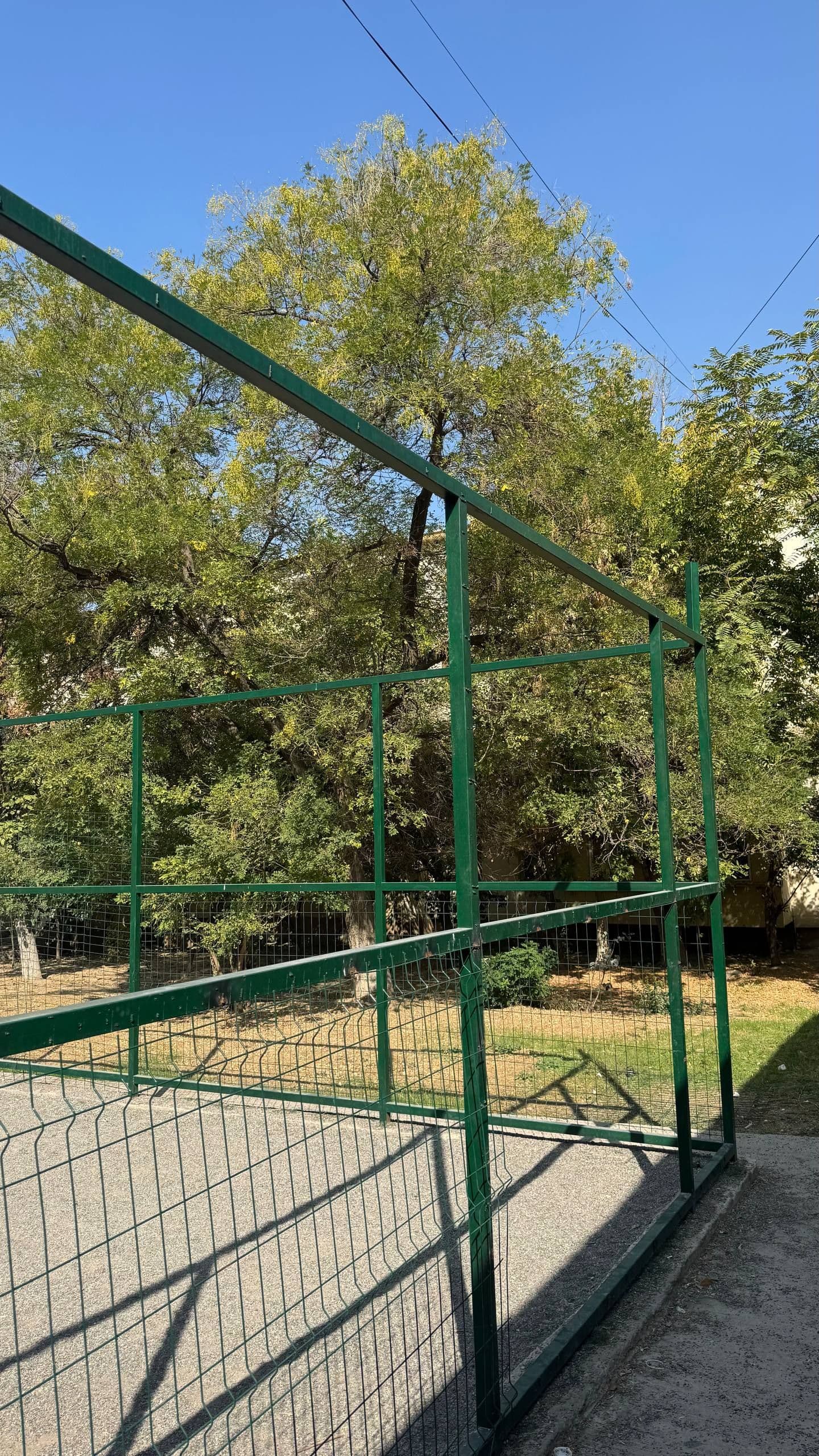 Gallery image 270403