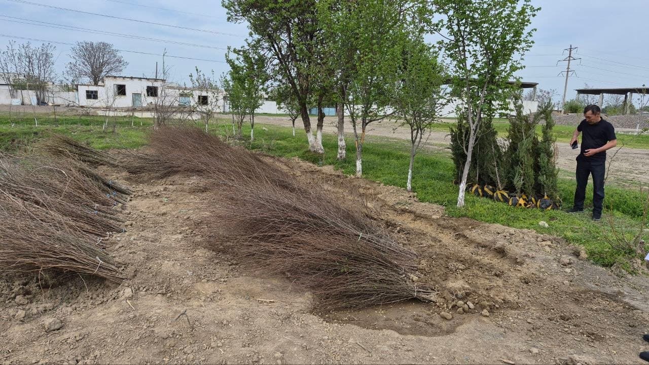 Gallery image 112347