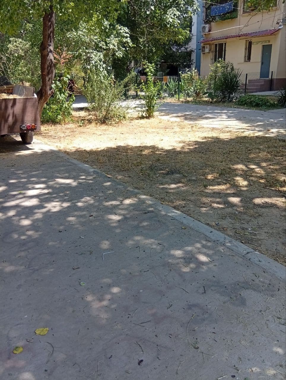 Gallery image 192916