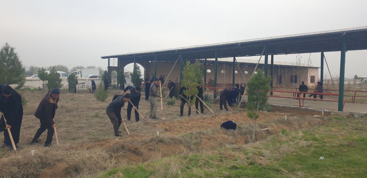 Gallery image 101246