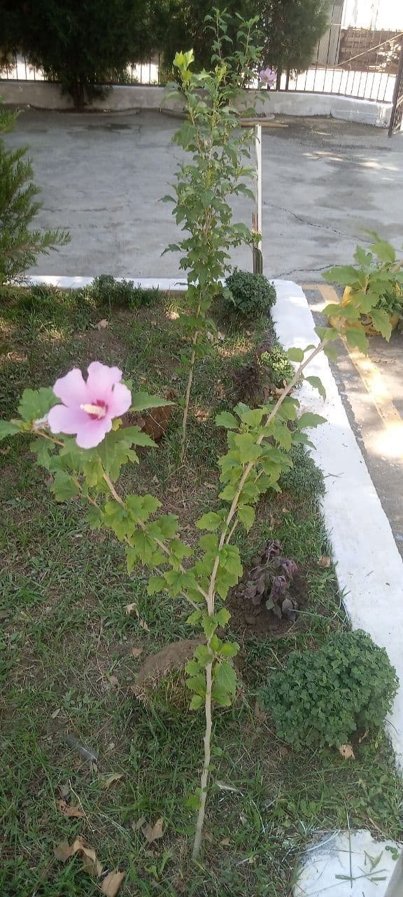 Gallery image 213620