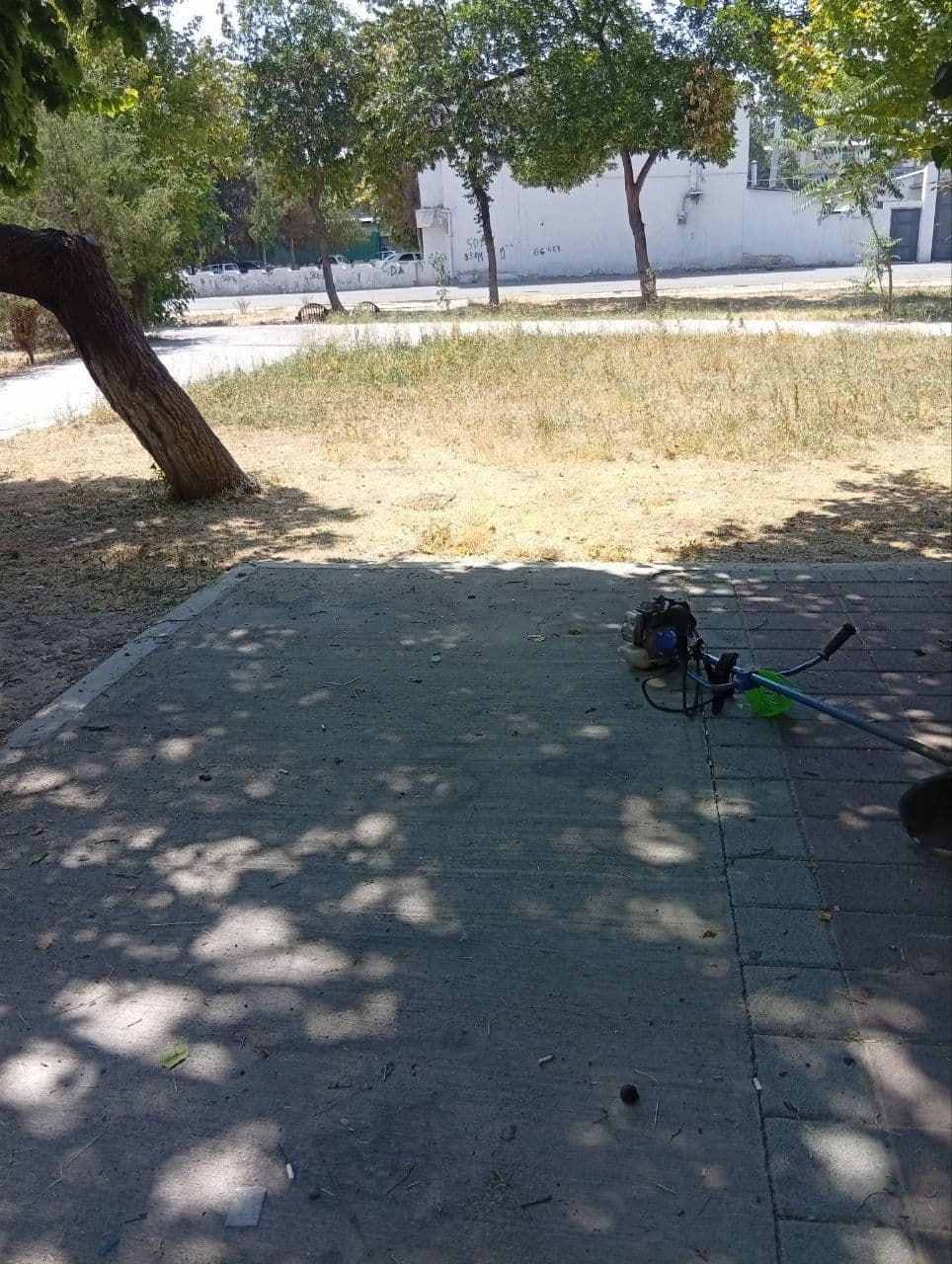 Gallery image 192917