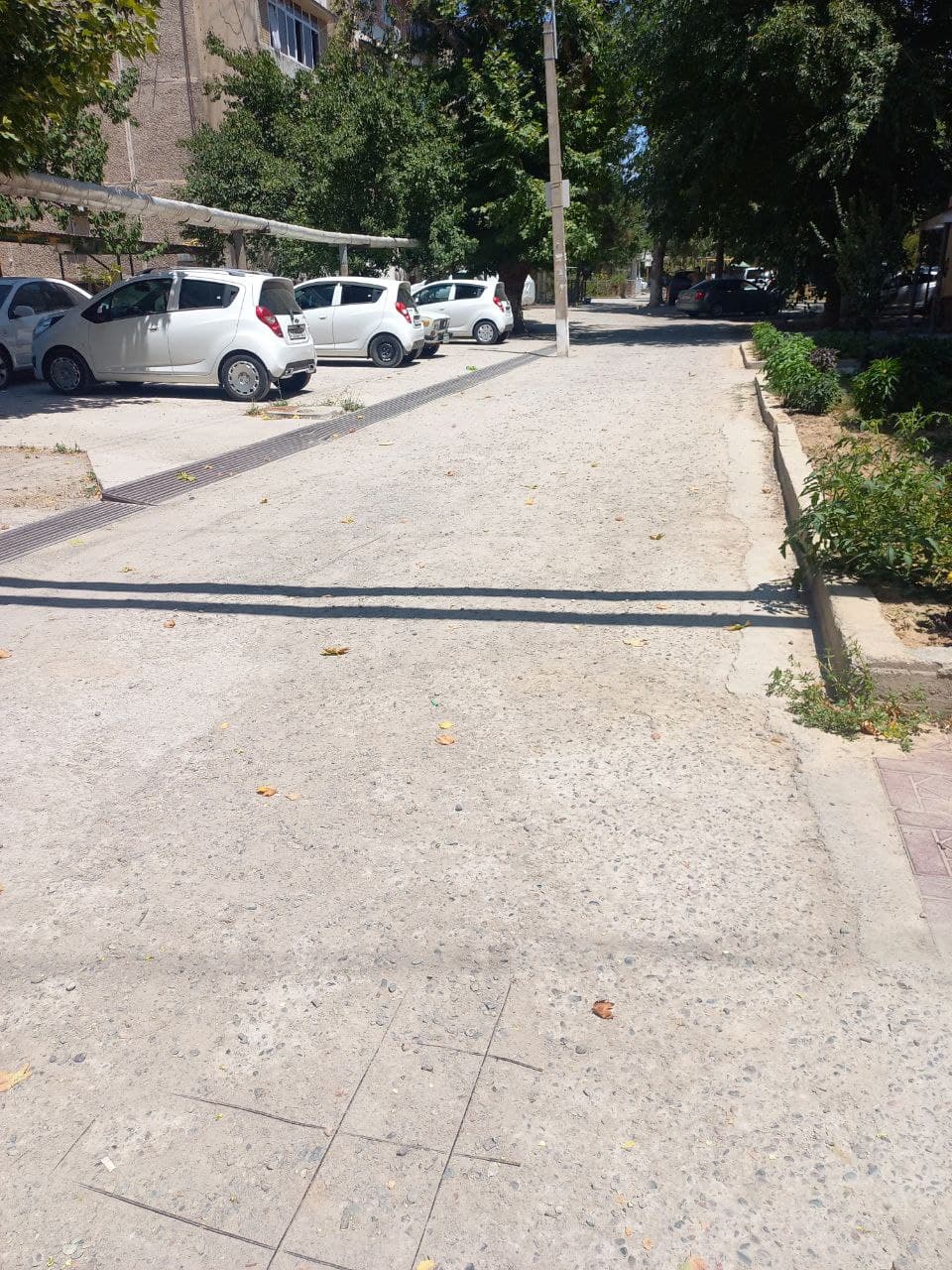Gallery image 49502