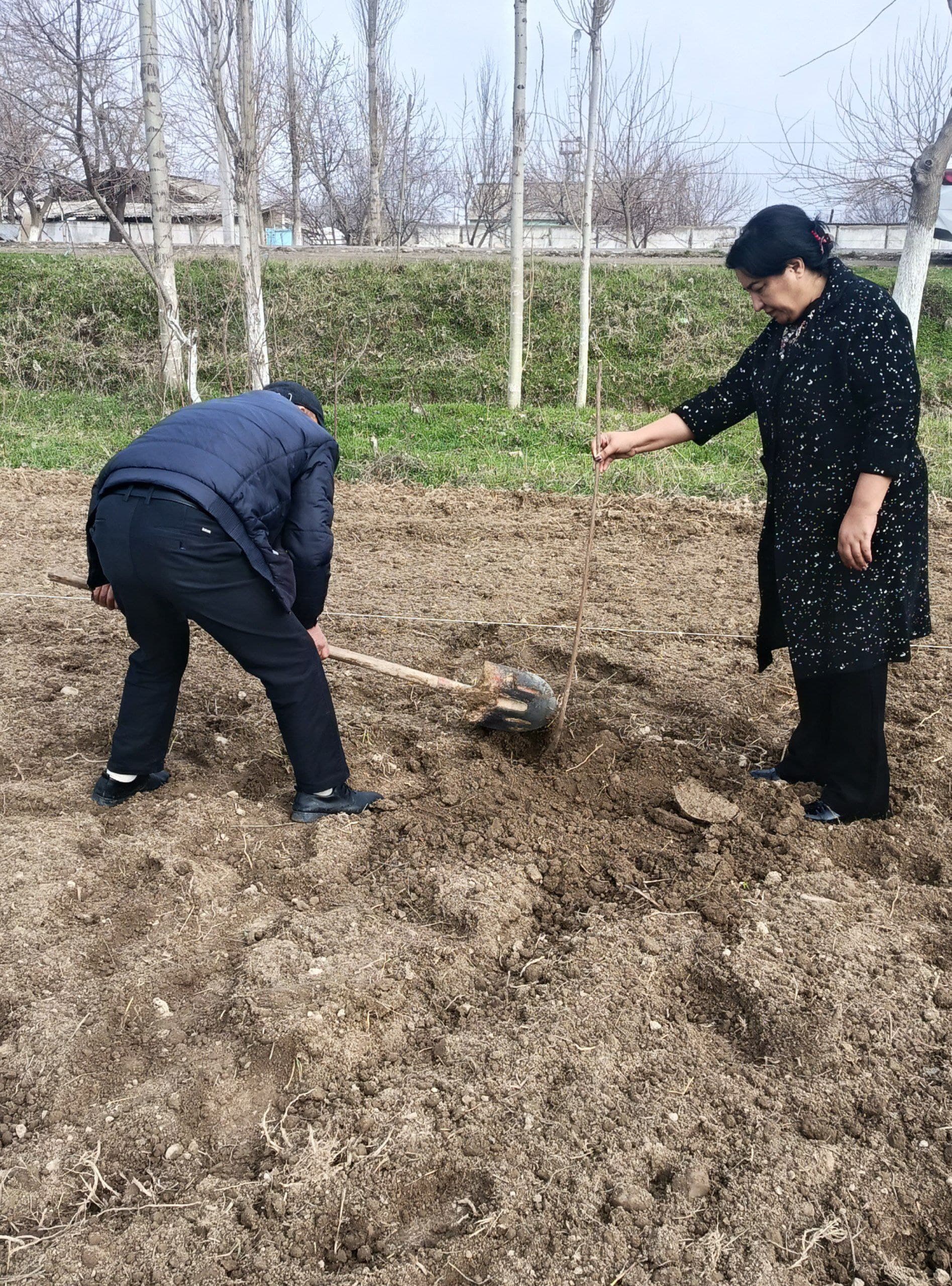 Gallery image 95618
