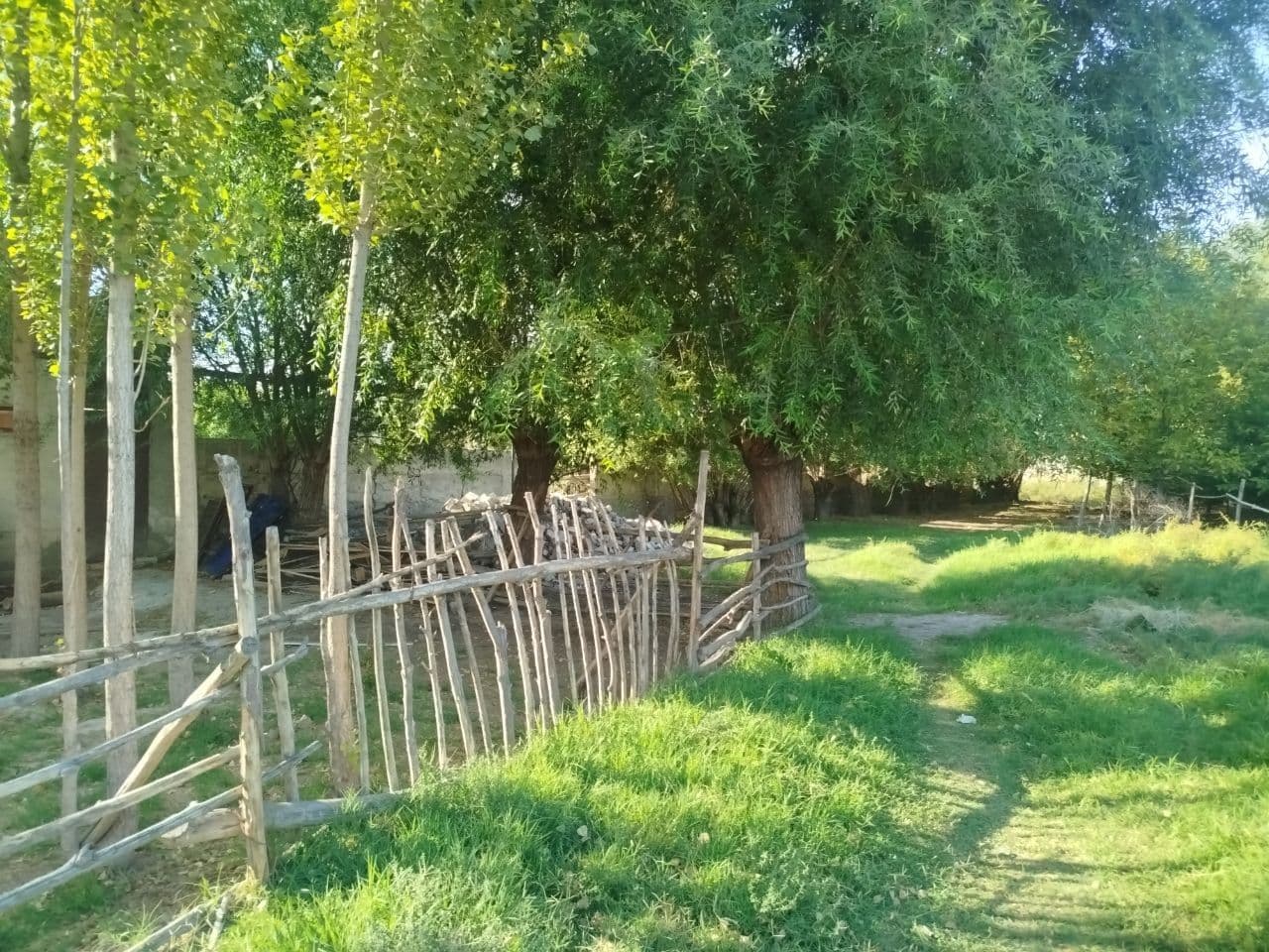 Gallery image 234644