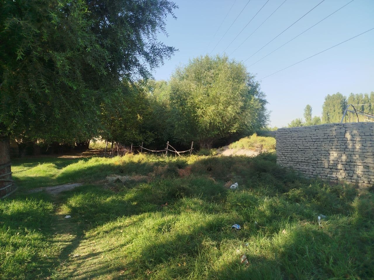 Gallery image 234642