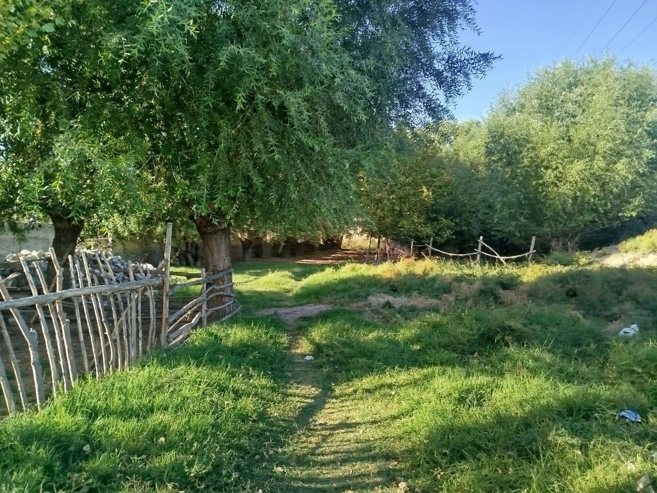 Gallery image 234646