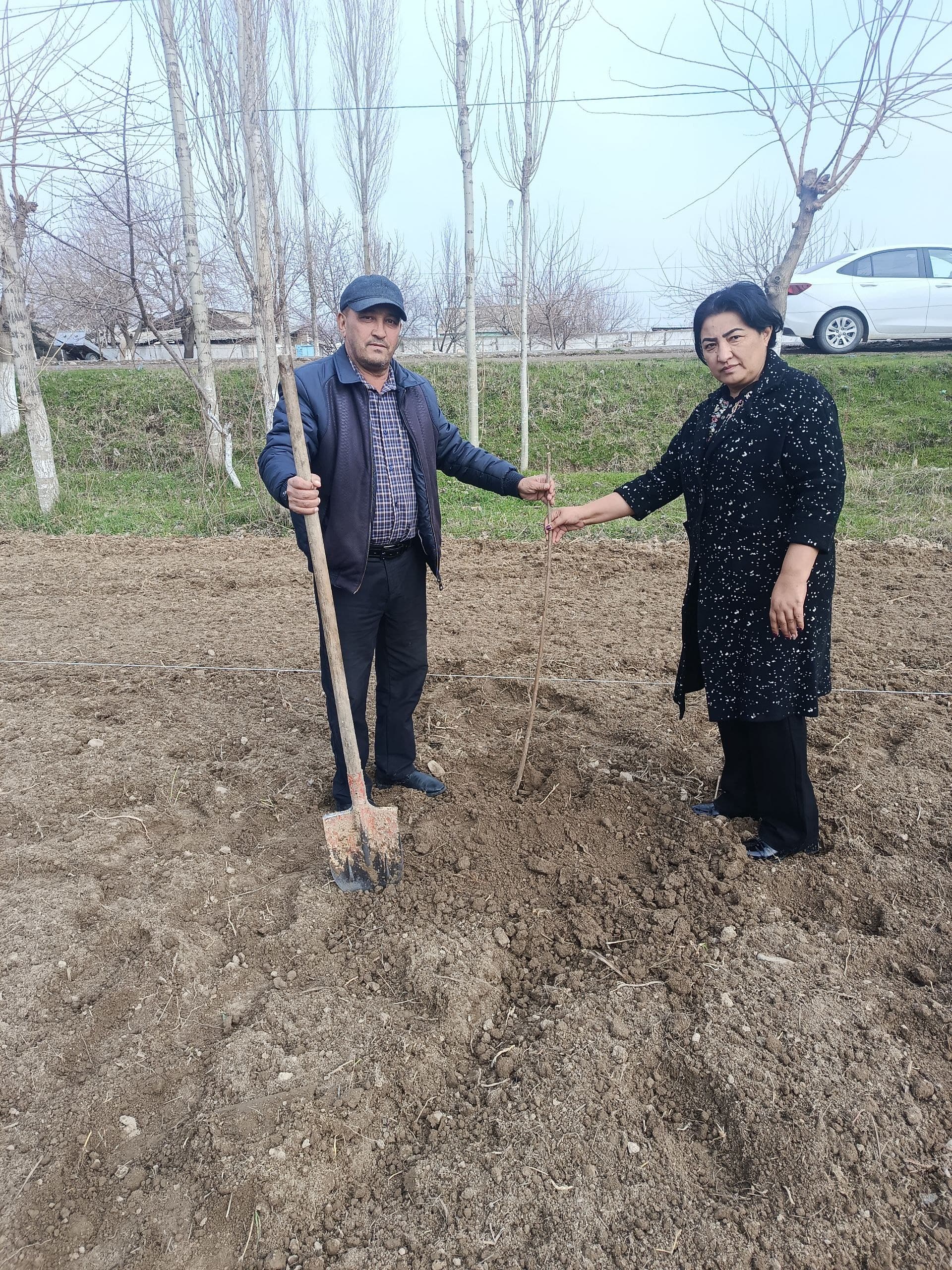 Gallery image 95617